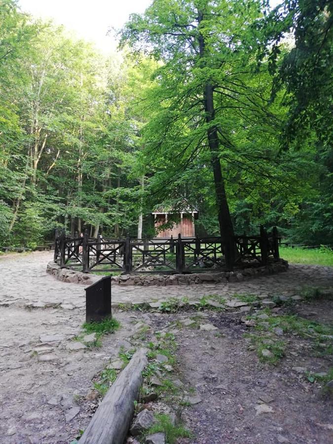 Agroturystka Na Polanie Apartment Swieta Katarzyna  Exterior foto